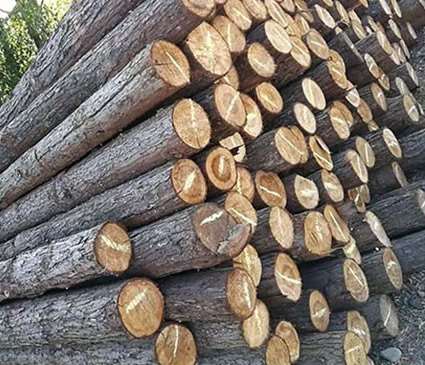 ��ֹ�߻��������³���ľ���Y(ji��)��(g��u)����