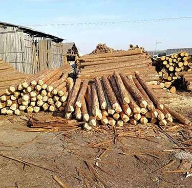 �G��ɼľ������;����Щ