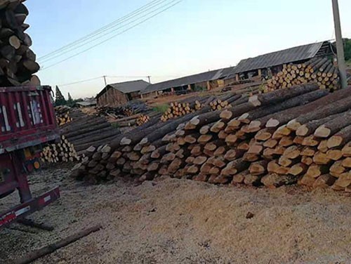 杉木樁用作護(hù)坡效果怎么樣