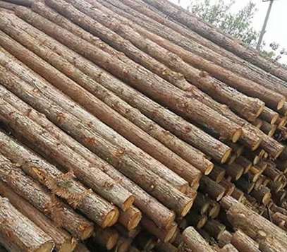 �๦�ܷ侰�^ľ���Ĵ