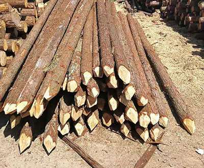 ɼľ����ʲô��(hu��)�l(f��)���ϻ��F(xi��n)��