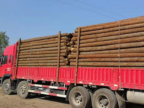 杉木樁的生產(chǎn)材料怎么選擇