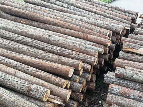 河道木樁使用注意事項(xiàng)詳解