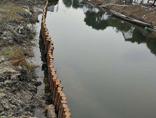 河道杉木樁的作用介紹
