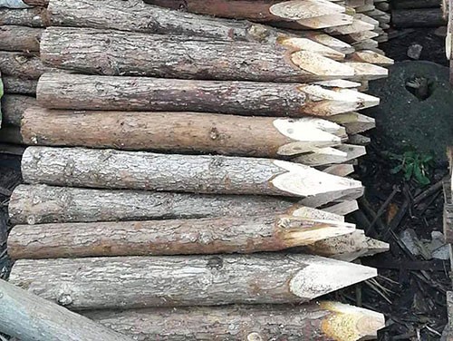 杉木樁的防腐工作應(yīng)如何完成