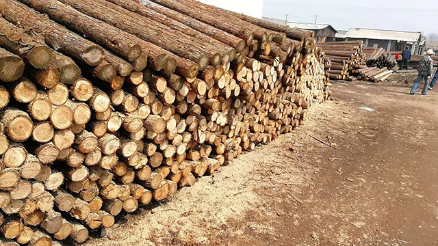 景觀木樁報(bào)價(jià)