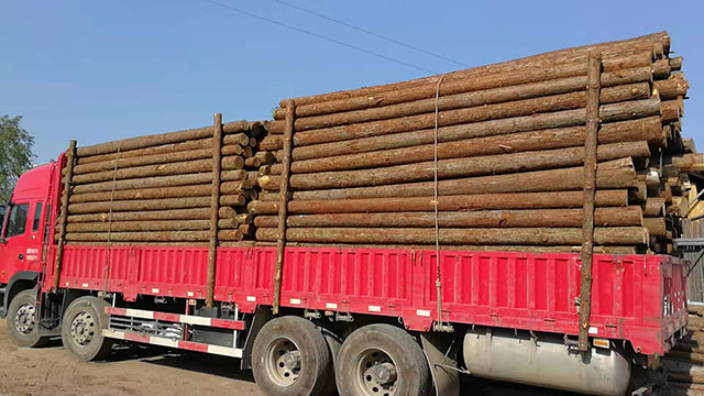 30公分圓木樁生產(chǎn)廠家