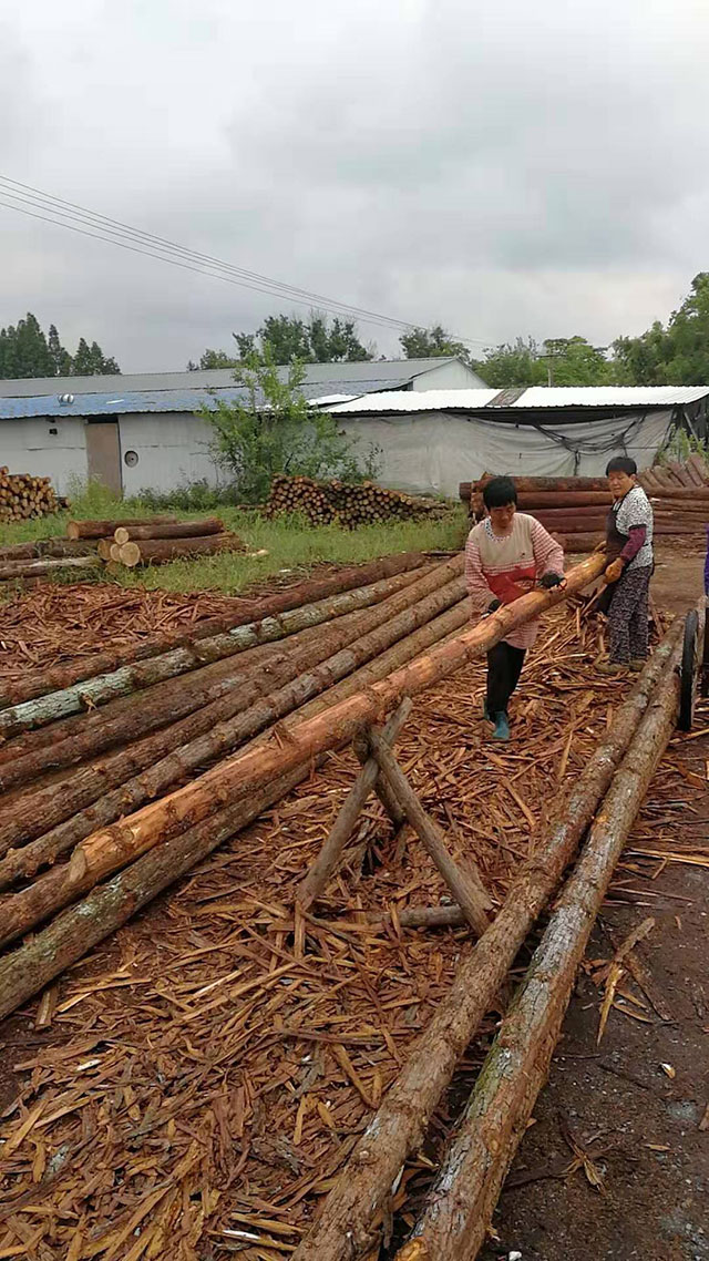 30公分圓木樁報價