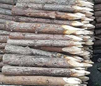 ɼľ��Ͷ��ʹ�ú�(y��ng)�ѿص��c(di��n)