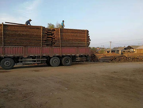 杉木樁行業(yè)發(fā)展趨勢介紹