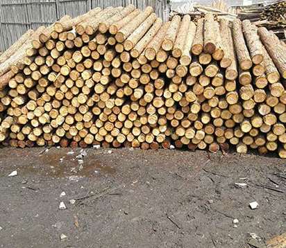 承插式松木樁的生態(tài)擋墻結(jié)構(gòu)