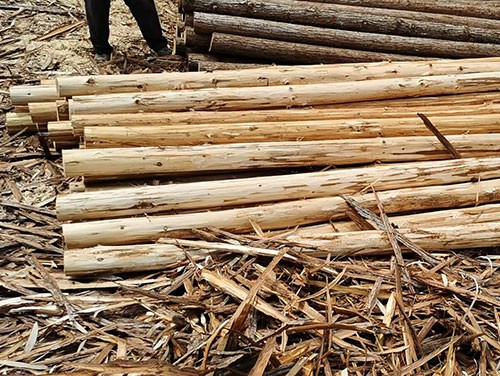 杉木樁廠家教您裝修木材怎么選擇