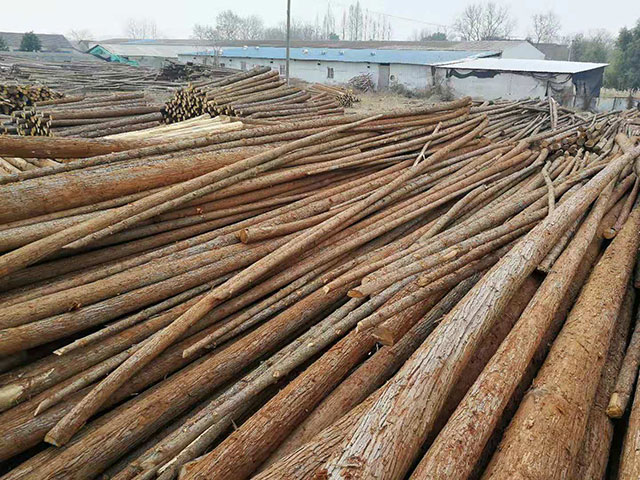 駁岸河道護坡木樁哪里有賣的