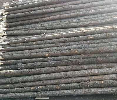 杉木樁打樁的質(zhì)量影響因素