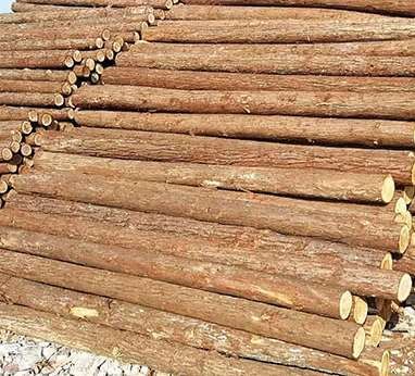 杉木樁的品質(zhì)所帶來的影響