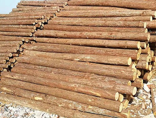 杉木樁在邊坡治理中發(fā)揮著什么作用呢?