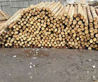 質(zhì)量不好的杉木樁如果使用會怎么樣