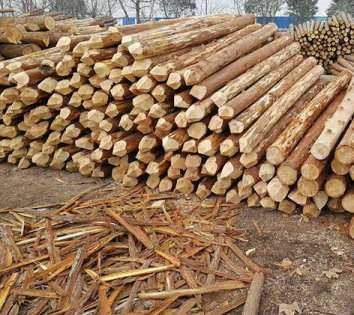 ɼľ���ĉ������F(xi��n)���}������