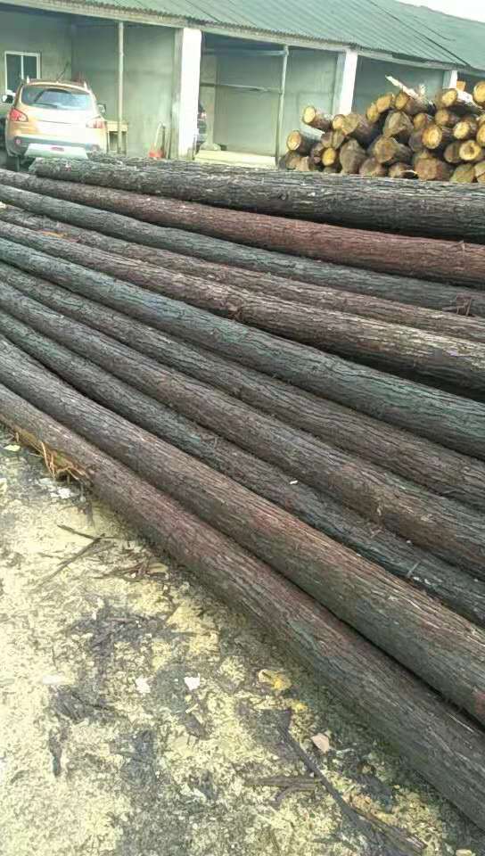 20公分河道護坡木樁哪家好