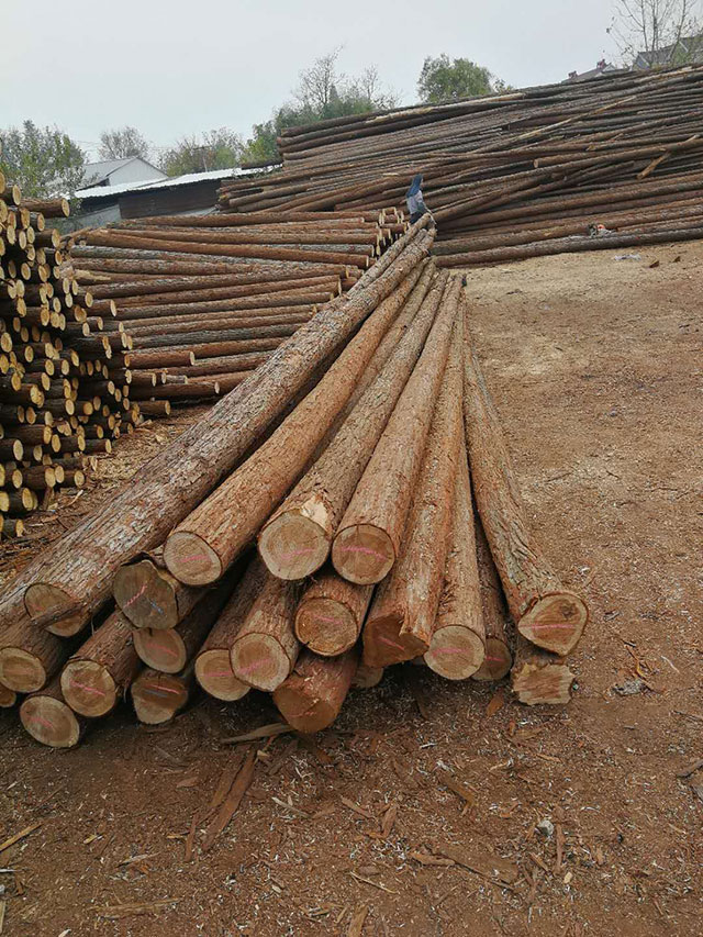 杉木樁的把控要注意些什么