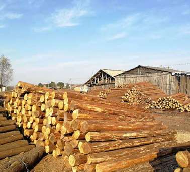 �ӵ���ɼľ����ˮ������ö�����