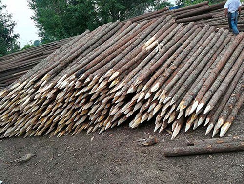 電梯井基坑杉木樁支護(hù)結(jié)構(gòu)講述