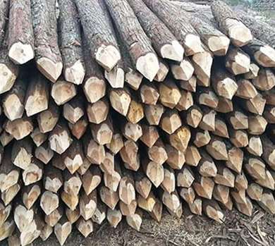 ɼľ�����ڃr(ji��)�񲨄�(d��ng)��r����