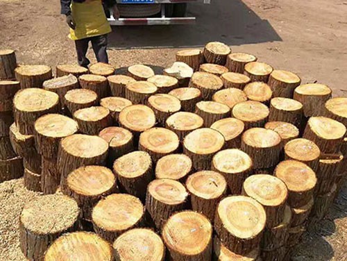 杉木樁如何進行有效的防腐