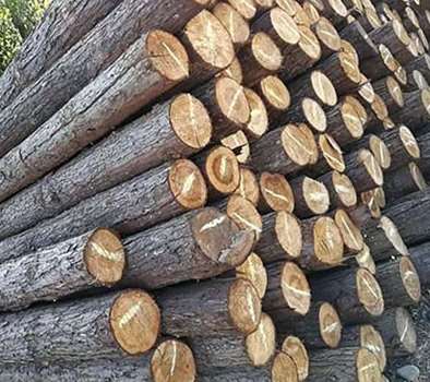 木樁生態(tài)駁岸的相關(guān)說(shuō)明