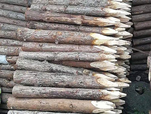 杉木樁避免使用中發(fā)生問(wèn)題的手段