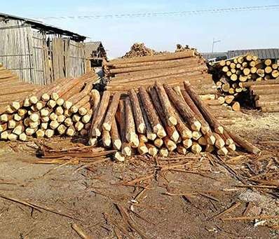 杉木樁的優(yōu)點(diǎn)