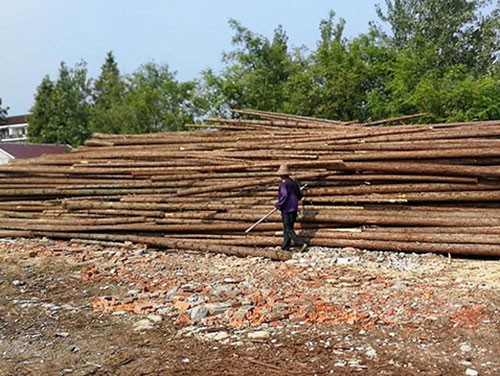 杉木樁廠家為大家介紹杉木市場(chǎng)的不斷變化