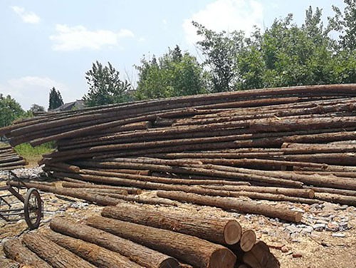 杉木樁的干濕度大家一定要注意下