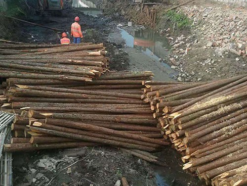 杉木樁在城市規(guī)劃中被利用的因素