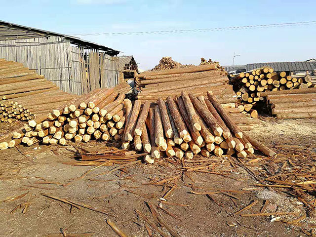 護(hù)坡木樁廠家 護(hù)坡木樁廠家