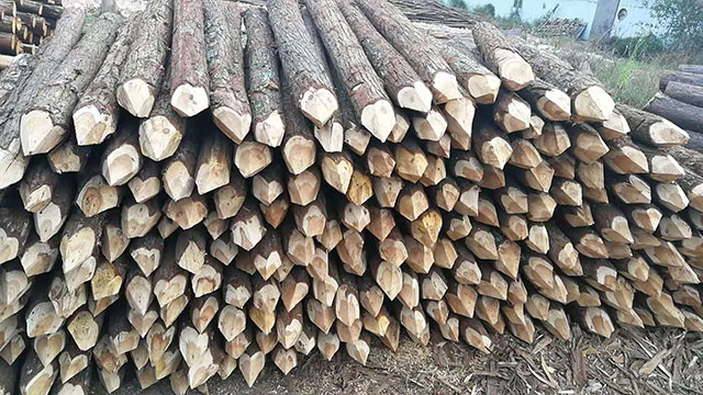 樁木廠家 樁木廠家