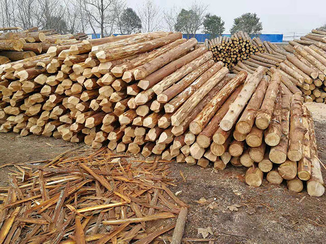 樁木價格 樁木價格