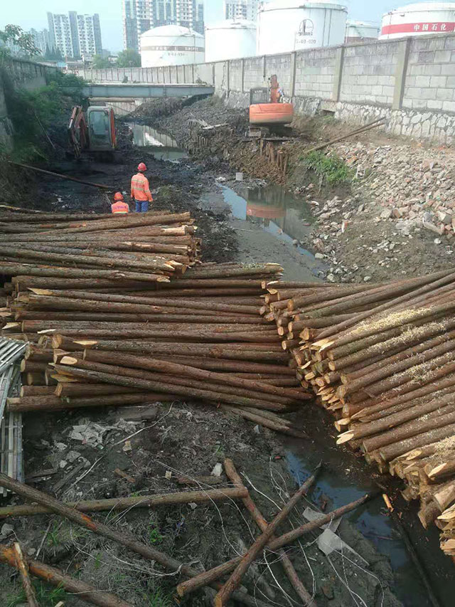 河道護坡木樁 河道護坡木樁