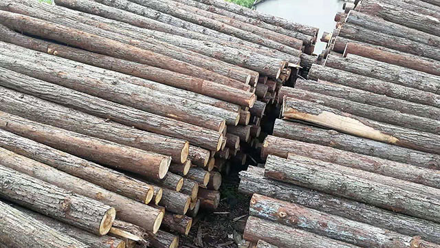 木樁哪家好 木樁哪家好