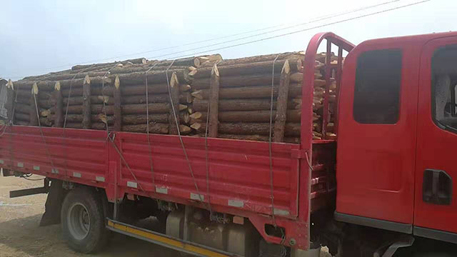 木樁多少錢(qián) 木樁多少錢(qián)