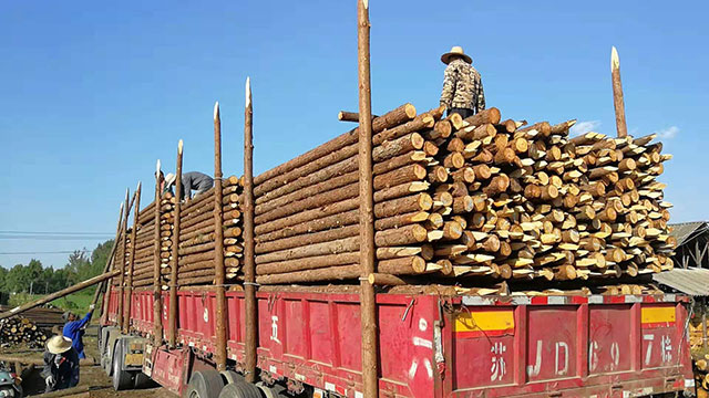 木樁尺寸 木樁尺寸