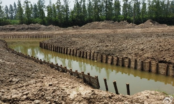 河道護坡木樁 河道護坡木樁