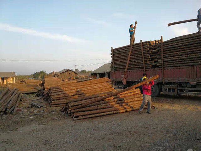 生態(tài)木樁哪家好 生態(tài)木樁哪家好