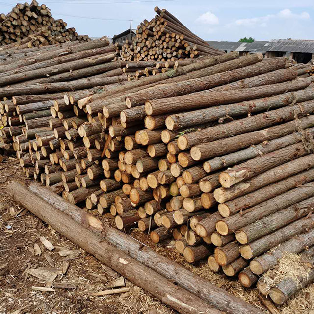 園林綠化樁規(guī)格 園林綠化樁規(guī)格