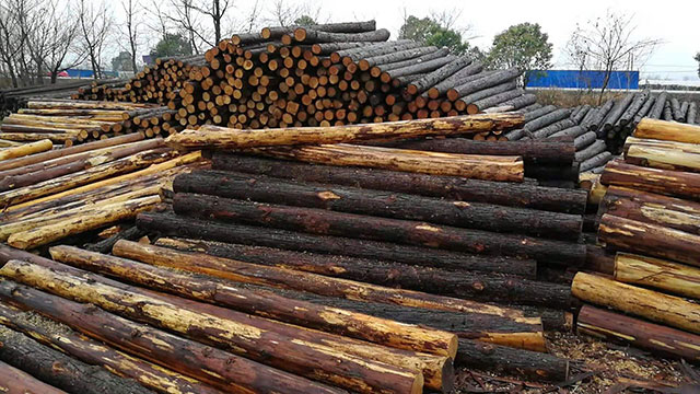 生態(tài)木樁 生態(tài)木樁