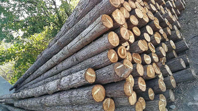 ľ���L(zh��ng)��